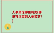 人参灵芝哪里有卖(哪里可以买到人参灵芝？)