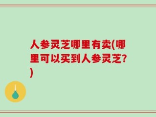 人参灵芝哪里有卖(哪里可以买到人参灵芝？)