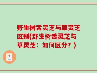 野生树舌灵芝与草灵芝区别(野生树舌灵芝与草灵芝：如何区分？)