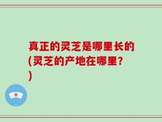 真正的灵芝是哪里长的(灵芝的产地在哪里？)