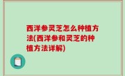 西洋参灵芝怎么种植方法(西洋参和灵芝的种植方法详解)