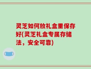 灵芝如何放礼盒里保存好(灵芝礼盒专属存储法，安全可靠)