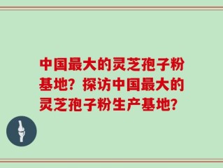 中国最大的灵芝孢子粉基地？探访中国最大的灵芝孢子粉生产基地？