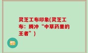 灵芝工布印象(灵芝工布：腾冲“中草药里的王者”)