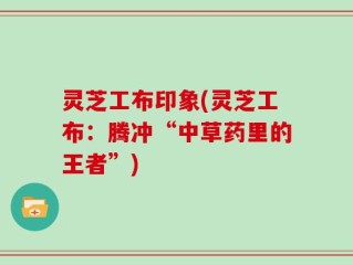 灵芝工布印象(灵芝工布：腾冲“中草药里的王者”)