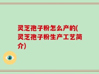 灵芝孢子粉怎么产的(灵芝孢子粉生产工艺简介)