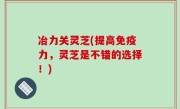 冶力关灵芝(提高免疫力，灵芝是不错的选择！)