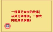 一棵灵芝大树的故事(从灵芝到神仙，一棵大树的成长演曲)