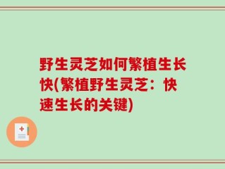 野生灵芝如何繁植生长快(繁植野生灵芝：快速生长的关键)