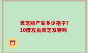 灵芝能产生多少孢子？10度左右灵芝发芽吗