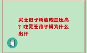 灵芝孢子粉造成血压高？吃灵芝孢子粉为什么出汗