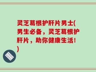 灵芝葛根护肝片男士(男生必备，灵芝葛根护肝片，助你健康生活！)