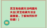 灵芝有收藏方法吗图片大全(灵芝收藏方法全面图鉴，了解如何科学珍藏！)