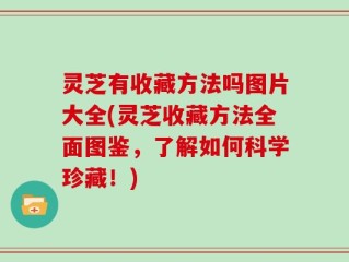 灵芝有收藏方法吗图片大全(灵芝收藏方法全面图鉴，了解如何科学珍藏！)