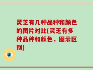 灵芝有几种品种和颜色的图片对比(灵芝有多种品种和颜色，图示区别)