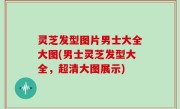 灵芝发型图片男士大全大图(男士灵芝发型大全，超清大图展示)