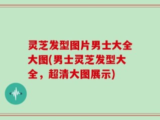 灵芝发型图片男士大全大图(男士灵芝发型大全，超清大图展示)