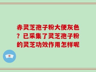 赤灵芝孢子粉大便灰色？已采集了灵芝孢子粉的灵芝功效作用怎样呢