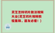 灵芝怎样切片做法视频大全(灵芝切片视频教程集锦，菌友必看！)