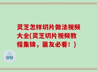 灵芝怎样切片做法视频大全(灵芝切片视频教程集锦，菌友必看！)