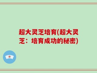 超大灵芝培育(超大灵芝：培育成功的秘密)