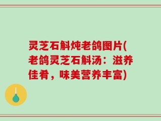灵芝石斛炖老鸽图片(老鸽灵芝石斛汤：滋养佳肴，味美营养丰富)