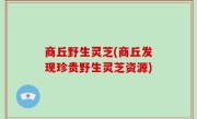 商丘野生灵芝(商丘发现珍贵野生灵芝资源)