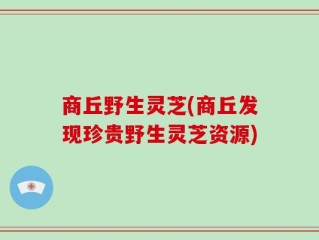 商丘野生灵芝(商丘发现珍贵野生灵芝资源)