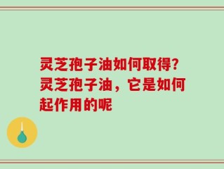灵芝孢子油如何取得？灵芝孢子油，它是如何起作用的呢