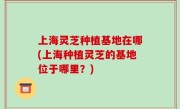 上海灵芝种植基地在哪(上海种植灵芝的基地位于哪里？)