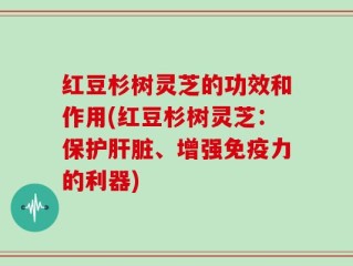 红豆杉树灵芝的功效和作用(红豆杉树灵芝：保护肝脏、增强免疫力的利器)