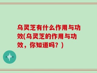 乌灵芝有什么作用与功效(乌灵芝的作用与功效，你知道吗？)