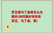 灵芝爆马丁桑黄怎么吃最好(如何最好地食用灵芝、马丁桑、黄)