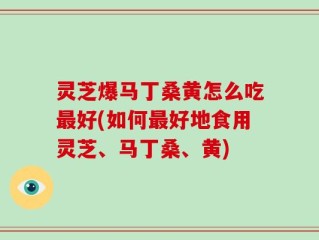 灵芝爆马丁桑黄怎么吃最好(如何最好地食用灵芝、马丁桑、黄)