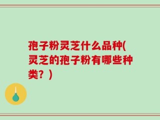 孢子粉灵芝什么品种(灵芝的孢子粉有哪些种类？)