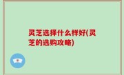 灵芝选择什么样好(灵芝的选购攻略)