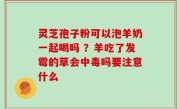 灵芝孢子粉可以泡羊奶一起喝吗 ？羊吃了发霉的草会中毒吗要注意什么