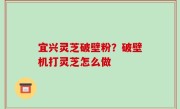 宜兴灵芝破壁粉？破壁机打灵芝怎么做