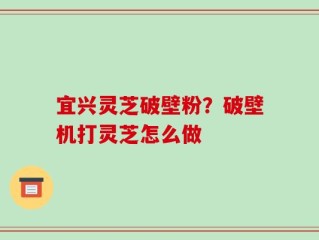 宜兴灵芝破壁粉？破壁机打灵芝怎么做