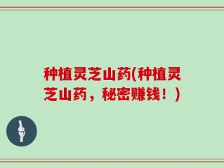 种植灵芝山药(种植灵芝山药，秘密赚钱！)