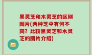 黑灵芝和木灵芝的区别图片(两种芝中有何不同？比较黑灵芝和木灵芝的图片介绍)