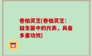 卷柏灵芝(卷柏灵芝：益生菌中的代表，具备多重功效)