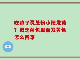 吃孢子灵芝粉小便发黄？灵芝菌包里面发黄色怎么回事