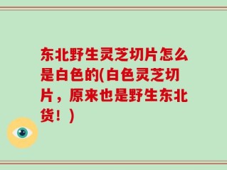 东北野生灵芝切片怎么是白色的(白色灵芝切片，原来也是野生东北货！)