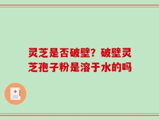 灵芝是否破壁？破壁灵芝孢子粉是溶于水的吗