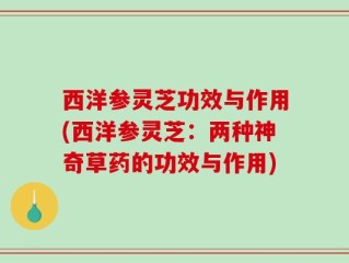 西洋参灵芝功效与作用(西洋参灵芝：两种神奇草药的功效与作用)