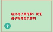 绍兴孢子灵芝粉？灵芝孢子粉是怎么样的