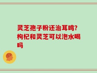 灵芝孢子粉还治耳鸣？枸杞和灵芝可以泡水喝吗
