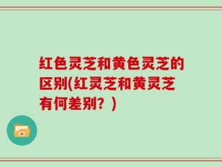 红色灵芝和黄色灵芝的区别(红灵芝和黄灵芝有何差别？)