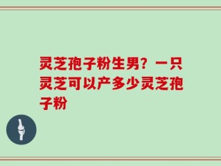 灵芝孢子粉生男？一只灵芝可以产多少灵芝孢子粉